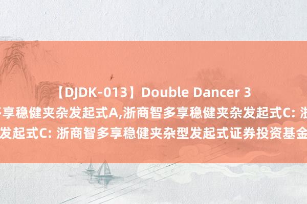 【DJDK-013】Double Dancer 3 篠田ゆう 三浦まい 浙商智多享稳健夹杂发起式A,浙商智多享稳健夹杂发起式C: 浙商智多享稳健夹杂型发起式证券投资基金招募说明书更新