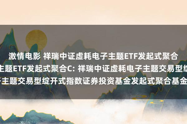 激情电影 祥瑞中证虚耗电子主题ETF发起式聚合A,祥瑞中证虚耗电子主题ETF发起式聚合C: 祥瑞中证虚耗电子主题交易型绽开式指数证券投资基金发起式聚合基金招募说明书(更新)