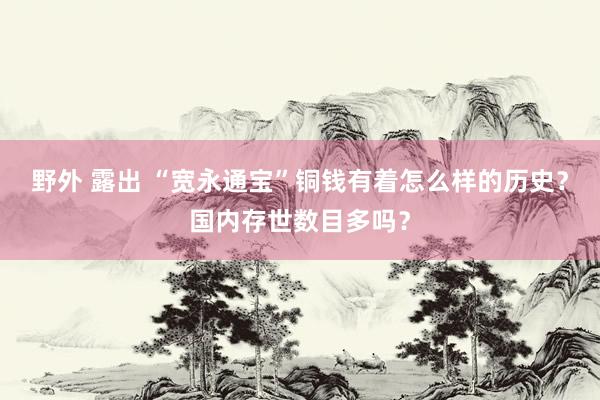 野外 露出 “宽永通宝”铜钱有着怎么样的历史？国内存世数目多吗？