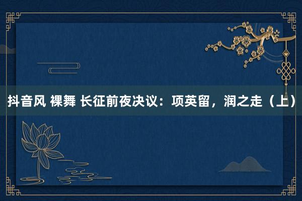 抖音风 裸舞 长征前夜决议：项英留，润之走（上）