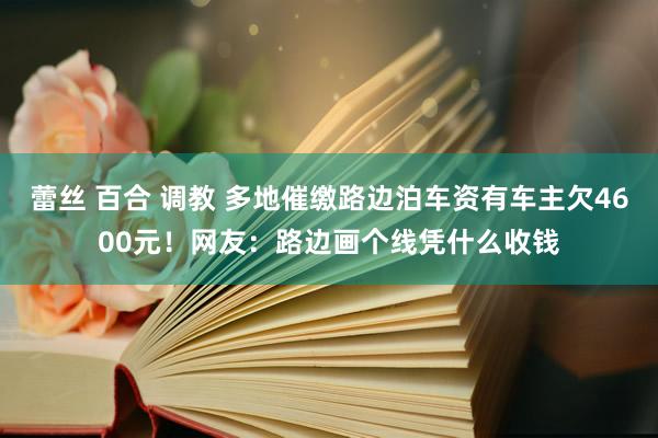 蕾丝 百合 调教 多地催缴路边泊车资有车主欠4600元！网友：路边画个线凭什么收钱
