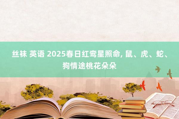丝袜 英语 2025春日红鸾星照命， 鼠、虎、蛇、狗情途桃花朵朵