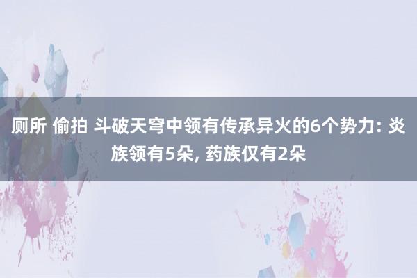 厕所 偷拍 斗破天穹中领有传承异火的6个势力: 炎族领有5朵, 药族仅有2朵