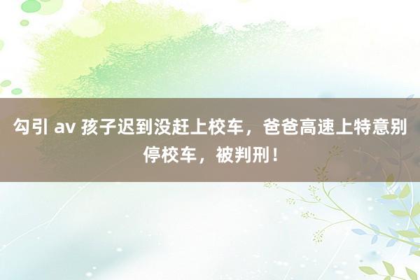 勾引 av 孩子迟到没赶上校车，爸爸高速上特意别停校车，被判刑！